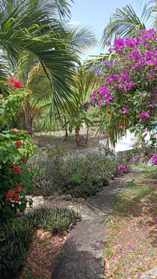 T2 Jardin Clos Les Nids De La Colline Сен-Франсуа Экстерьер фото